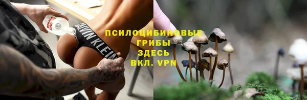 стафф Горняк