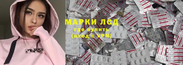 дмт Вяземский