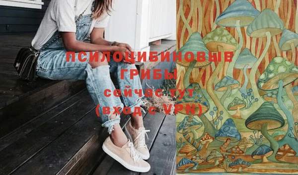 стафф Горняк