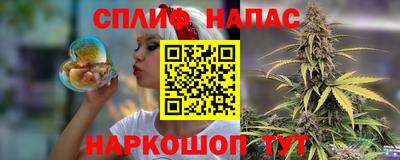 стаф Волгодонск