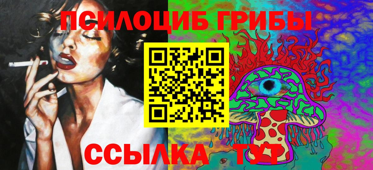 Галлюциногенные грибы Psilocybe Дмитров