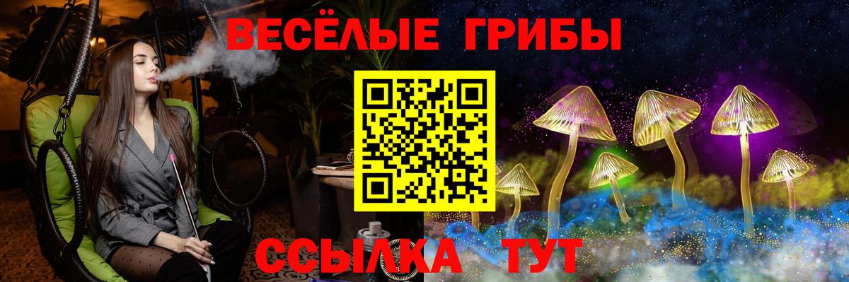 Дмитров  Псилоцибиновые грибы прущие грибы  Галлюциногенные грибы MAGIC MUSHROOMS  Вход с VPN 