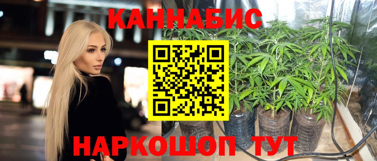 Бошки марихуана семена Дмитров